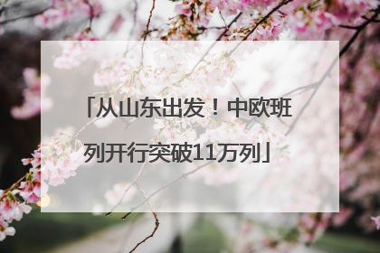 从山东出发！中欧班列开行突破11万列