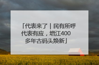 代表来了｜民有所呼代表有应，增江400多年古码头焕新