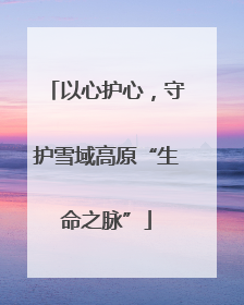 以心护心，守护雪域高原“生命之脉”