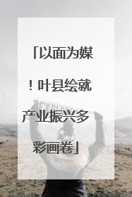 以面为媒！叶县绘就产业振兴多彩画卷