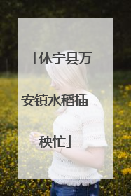 休宁县万安镇水稻插秧忙