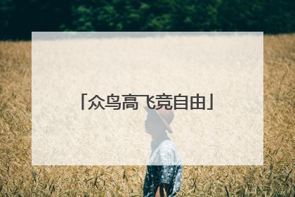 众鸟高飞竞自由