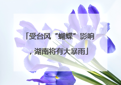 受台风“蝴蝶”影响，湖南将有大暴雨
