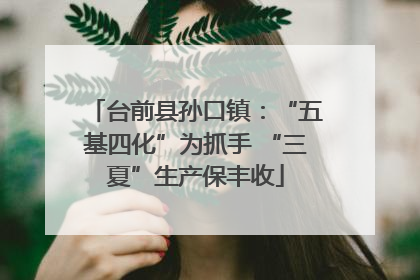 台前县孙口镇：“五基四化”为抓手 “三夏”生产保丰收