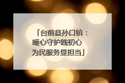 台前县孙口镇：暖心守护践初心 为民服务显担当