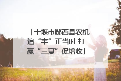 十堰市郧西县农机追“丰”正当时 打赢“三夏”促增收
