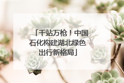 千站万枪！中国石化构建湖北绿色出行新格局