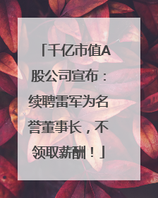 千亿市值A股公司宣布：续聘雷军为名誉董事长，不领取薪酬！