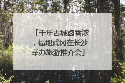 千年古城卤香浓，福地武冈在长沙举办旅游推介会
