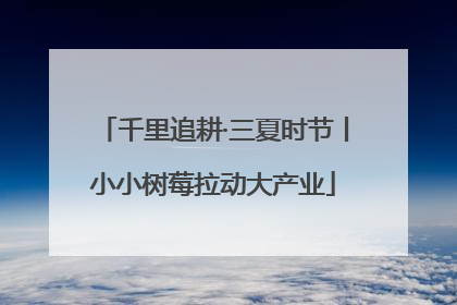 千里追耕·三夏时节丨小小树莓拉动大产业