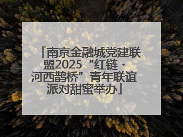 南京金融城党建联盟2025“红链・河西鹊桥”青年联谊派对甜蜜举办