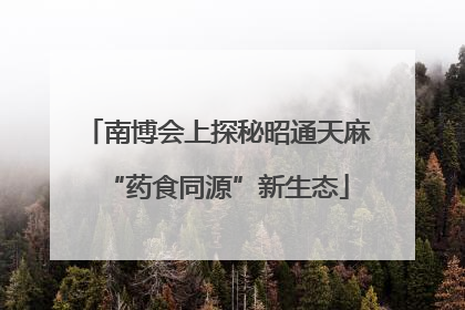 南博会上探秘昭通天麻“药食同源”新生态