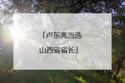 卢东亮当选山西省省长