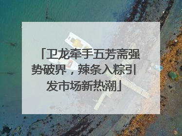 卫龙牵手五芳斋强势破界，辣条入粽引发市场新热潮