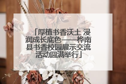厚植书香沃土 浸润成长底色——桦南县书香校园展示交流活动圆满举行