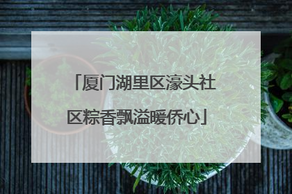 厦门湖里区濠头社区粽香飘溢暖侨心