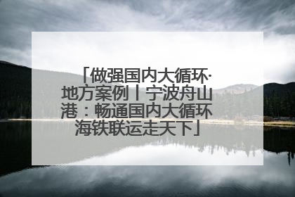 做强国内大循环·地方案例丨宁波舟山港：畅通国内大循环海铁联运走天下