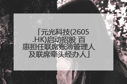 元光科技(2605.HK)启动招股 百惠担任联席账簿管理人及联席牵头经办人