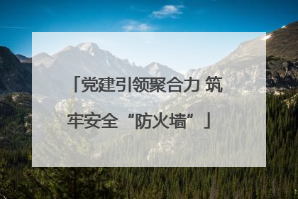 党建引领聚合力 筑牢安全“防火墙”