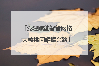 党建赋能智管网格 大樱桃闪耀振兴路