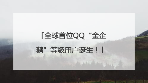 全球首位QQ“金企鹅”等级用户诞生！