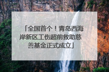 全国首个！青岛西海岸新区工伤超前救助慈善基金正式成立