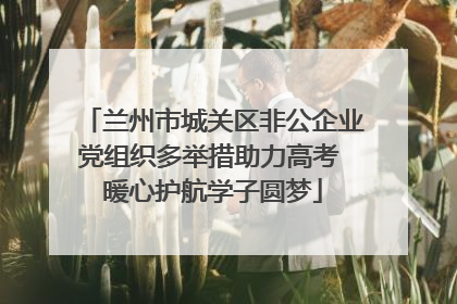 兰州市城关区非公企业党组织多举措助力高考 暖心护航学子圆梦