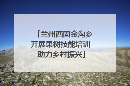 兰州西固金沟乡开展果树技能培训 助力乡村振兴