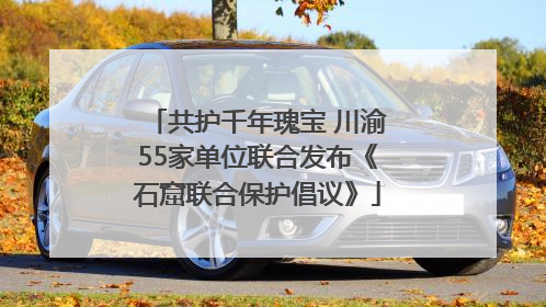 共护千年瑰宝 川渝55家单位联合发布《石窟联合保护倡议》