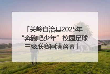 关岭自治县2025年“奔跑吧少年”校园足球三级联赛圆满落幕