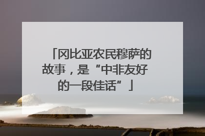 冈比亚农民穆萨的故事，是“中非友好的一段佳话”