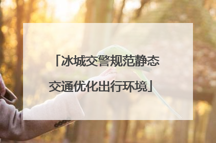 冰城交警规范静态交通优化出行环境