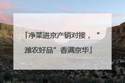 净菜进京产销对接，“潍农好品”香满京华