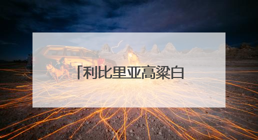 利比里亚高粱白酒全产业链项目落地自贸雨花区块