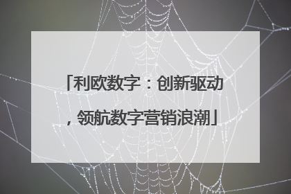 利欧数字：创新驱动，领航数字营销浪潮