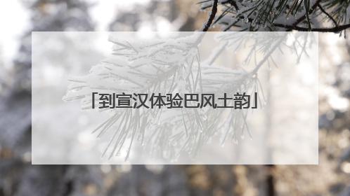 到宣汉体验巴风土韵