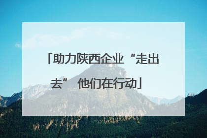助力陕西企业“走出去” 他们在行动
