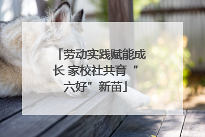 劳动实践赋能成长 家校社共育“六好”新苗