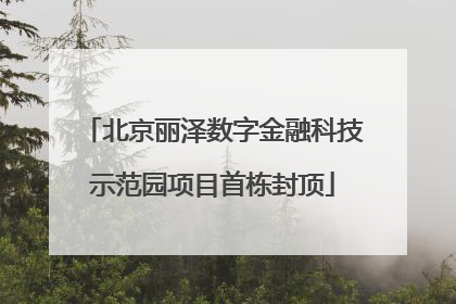 北京丽泽数字金融科技示范园项目首栋封顶