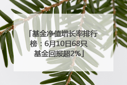 基金净值增长率排行榜：6月10日68只基金回报超2%