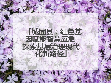 城固县：红色基因赋能智慧应急 探索基层治理现代化新路径