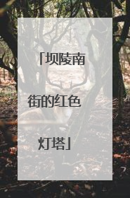 坝陵南街的红色灯塔