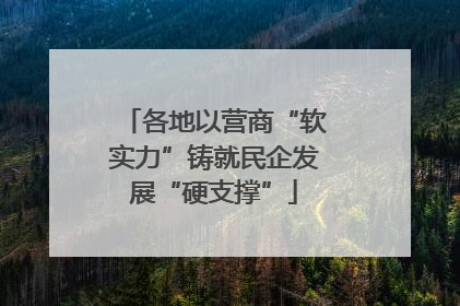 各地以营商“软实力”铸就民企发展“硬支撑”