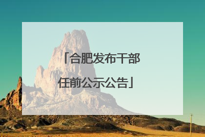 合肥发布干部任前公示公告