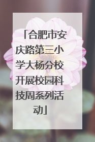 合肥市安庆路第三小学大杨分校开展校园科技周系列活动