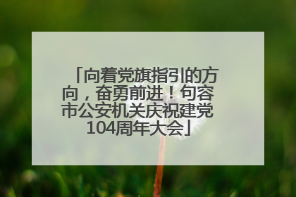 向着党旗指引的方向，奋勇前进！句容市公安机关庆祝建党104周年大会
