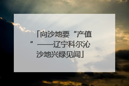 向沙地要“产值”——辽宁科尔沁沙地兴绿见闻