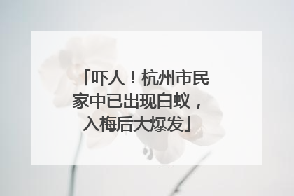 吓人！杭州市民家中已出现白蚁，入梅后大爆发