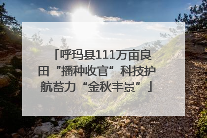 呼玛县111万亩良田“播种收官”科技护航蓄力“金秋丰景”