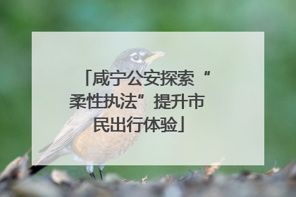 咸宁公安探索“柔性执法”提升市民出行体验